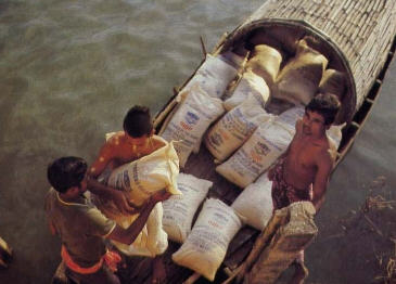 Devotees Battled The Ganges for 8 Hrs To Delivers Of Rice